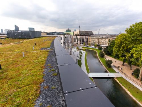 Sedum roof